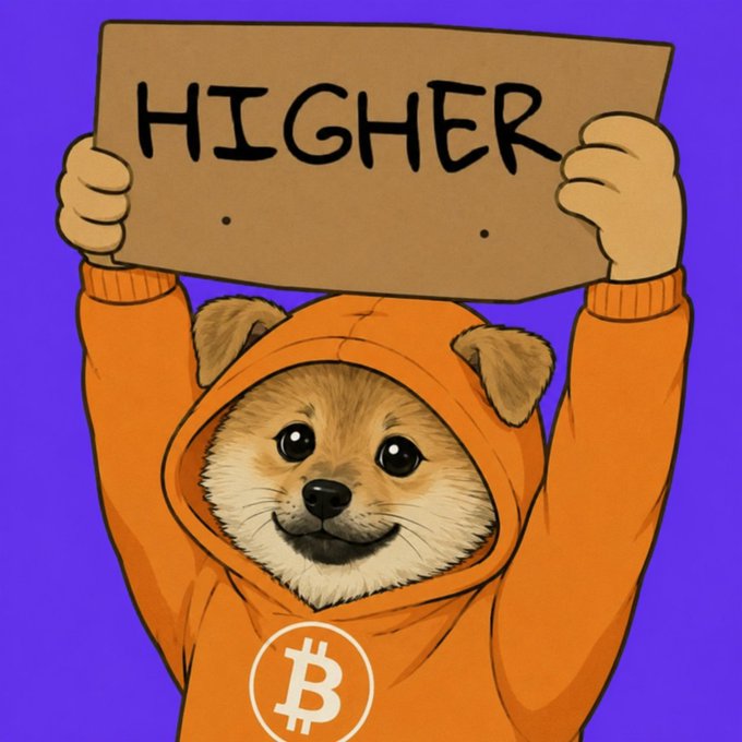 A cartoon illustration of the Doge/Shiba Inu meme character wearing an orange Bitcoin hoodie and holding up a cardboard sign reading "HIGHER" against a purple background.