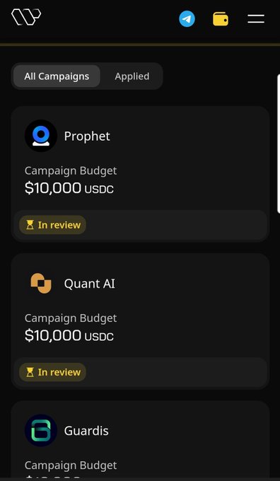 The image shows a phone screen with various app icons displayed on it. The main focus of the image is an app called "Campaign Budget", which appears to be related to cooking or food-related activities, as indicated by the text "What is @wallchain cooking? If you know you applied 3 months ago, check your tg, we'r going to win no matter what". This message suggests that there might be a cooking app on the phone, and it has been used for a campaign or event. The user may have applied the app in the past but is now checking its status to see if it's still active.