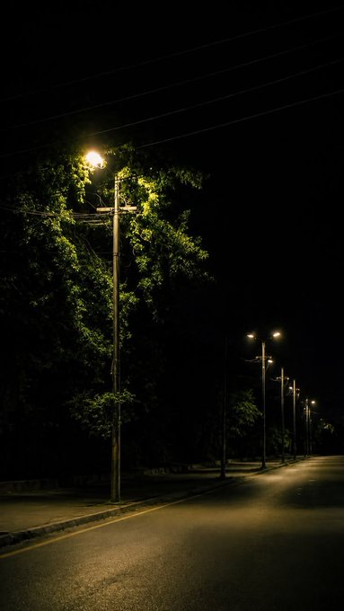 A nighttime street scene with a row of lit street lamps along an empty road, with tree branches illuminated in the foreground and power lines crossing the dark sky.