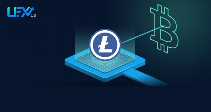 A digital graphic displays the LEX.US logo alongside a Litecoin (L) symbol and a Bitcoin (B) symbol connected by a glowing line on a dark background.