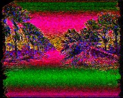 !!!¡gm! El palmar {" butia yatay "} Available on @objktcom, one_ed. Listed on secondary by ...>> @licas33gb Last day of proofofpalm2026 by @absurdeity