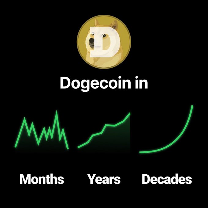 The image features a graphic with three lines representing months from January to December against a black background. Above each line, there's a small white dog icon positioned as if looking over a chart or graph that displays the number of Bitcoins earned throughout the year for the Bitcoin cryptocurrency. The text at the bottom reads "Whatever you do, don't panic The DOGE community is building". This message suggests that despite any fluctuations in Bitcoin value, it is essential not to panic and focus on long-term gains within the community.