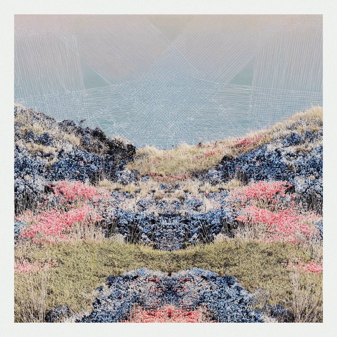 A mirrored digital art piece showing a colorful landscape of pink and blue vegetation with a symmetrical reflection effect, featuring a sky with geometric line patterns radiating from the center.