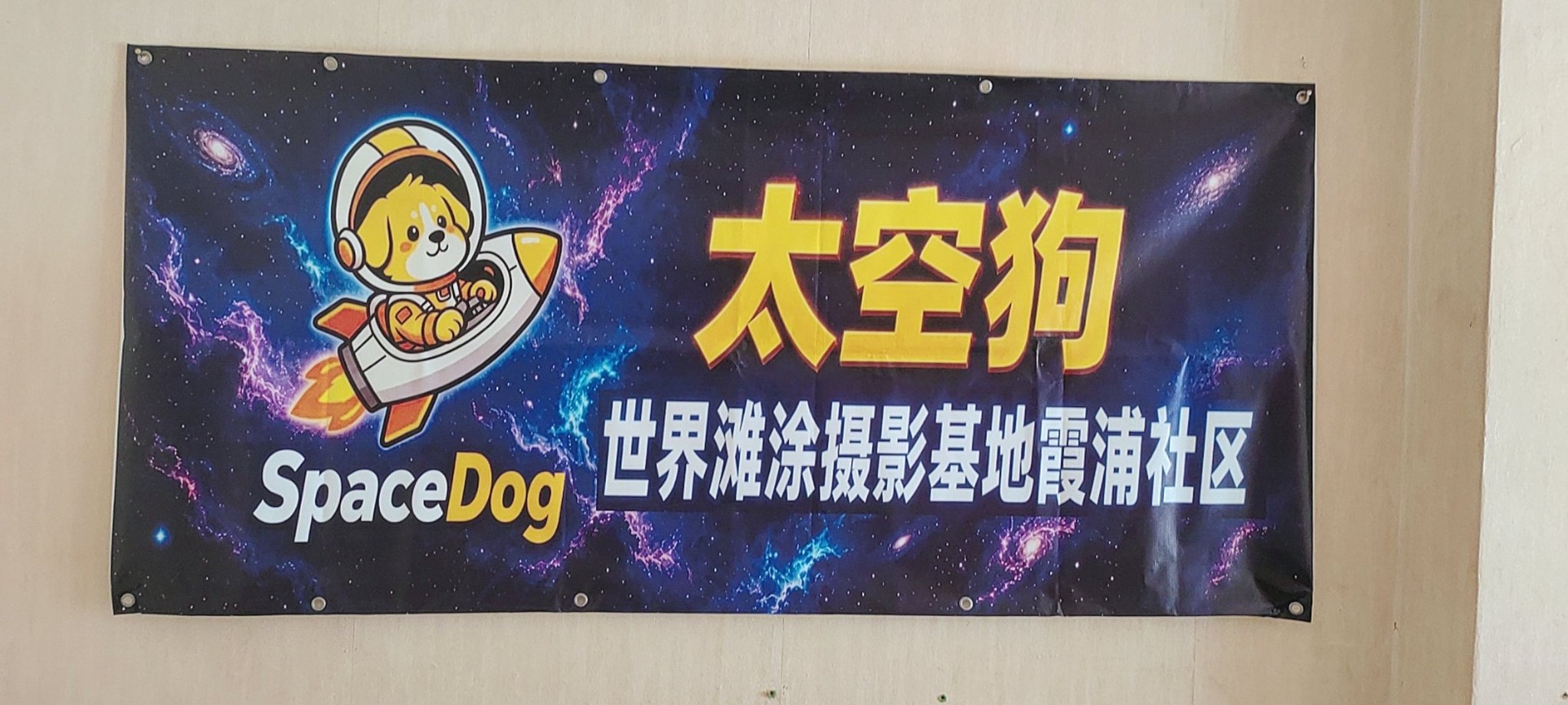 A banner with a cosmic galaxy background featuring a cartoon dog in a spacesuit riding a rocket, with text 'SpaceDog', '太空狗', and '世界滩涂摄影基地霞浦社区'.