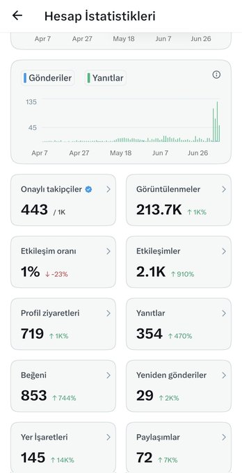 A Turkish-language Instagram account statistics page ('Hesap İstatistikleri') showing 443 followers, 213.7K views, 1% engagement rate, and various other metrics with percentage increases.