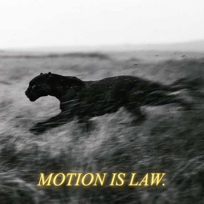 A black and white photograph of a black panther running through a misty field, with yellow text overlaid at the bottom reading 'MOTION IS LAW.'
