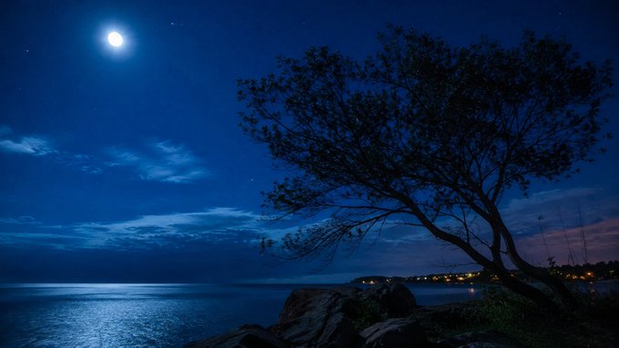 The image shows a nighttime scene of a tree silhouetted against a dark blue sky, with the moon visible in the top left corner. The moon appears to be shining brightly, casting light onto the scene below. In the background, there is water that reflects the moonlight and adds depth to the image. The overall atmosphere suggests a serene and peaceful night by the ocean.