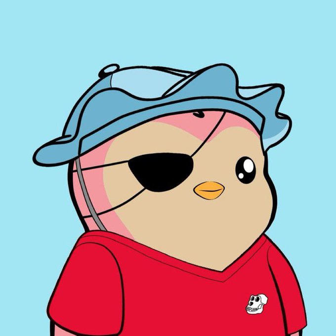 Cartoon illustration of a pink duck or bird character wearing an eye patch, blue shark-shaped hat, and red shirt with a small dog logo.