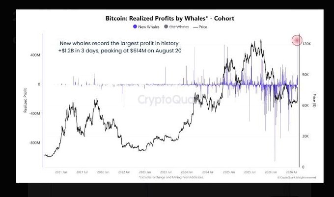 CryptoQuant chart titled 'Bitcoin: Realized Profits by Whales* - Cohort' showing that new whales recorded the largest profit in history of +$1.2B in 3 days, peaking at $614M on August 20.