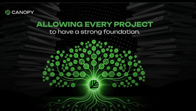 A graphic with the 'CANOPY' logo displaying the text 'ALLOWING EVERY PROJECT to have a strong foundation' above a green glowing tree composed of connected nodes.