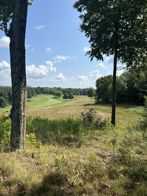 A scenic outdoor landscape view of a green golf course and grassy field framed by trees under a blue sky with white clouds.