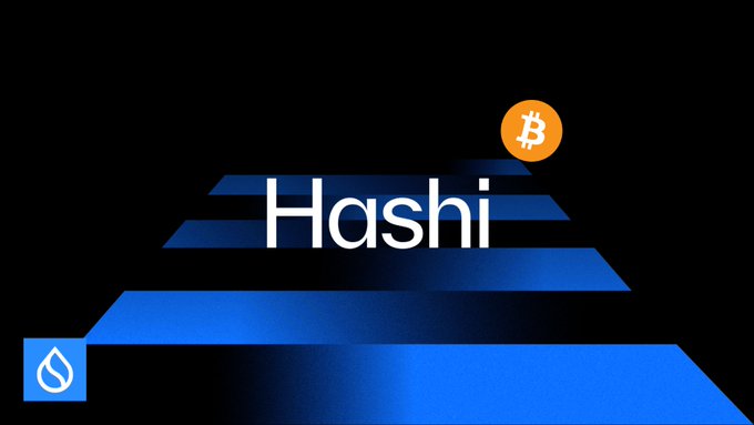 A graphic displays the text 'Hashi' in white letters on a black background with blue geometric steps, featuring a Bitcoin symbol in an orange circle and a small logo in the bottom left.
