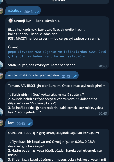 Telegram chat messages in Turkish discussing trading strategies, including setting up a buy strategy for 'AIN' (BSC) coin with price conditions.