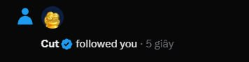 A dark screenshot with blurry blue and gold circular icons and partially visible text reading 'Cuit... followed you · 5d' at the bottom.