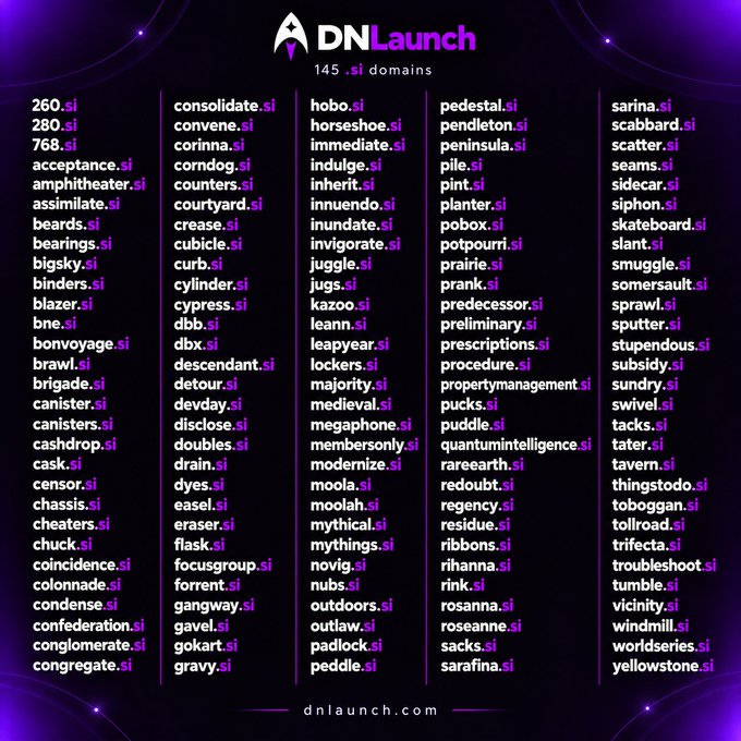 A promotional graphic for 'DNLaunch' displaying 145 .si domain names in five columns on a purple starry background, with the website dnlaunch.com at the bottom.