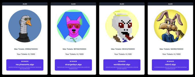 Four Algorand (ALGO) NFT tickets showing various PFP characters (a goose, pink cat with sunglasses, pixel ghost, and rabbit), with ticket counts and winning usernames like 'me.pheasants.algo', 'strangedays.algo', 'worldbonker.algo', and 'robin0.algo'.