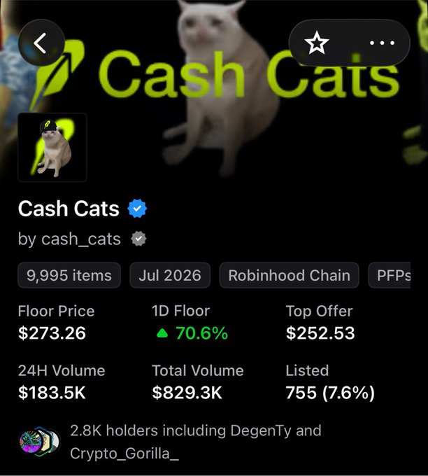 The image shows a NFT marketplace page for the "Cash Cats" collection by cash_cats on the Robinhood Chain, displaying a floor price of $273.26 with a 70.6% increase in the last day. The post mocks those who missed buying Cash Cats NFTs at lower prices of $200 and $250, as the collection's value has since surged to $273.26.