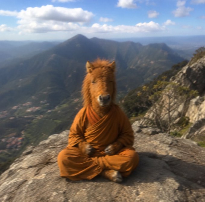 A horse-like figure in orange monk robes sits in a meditative lotus position atop a rocky mountain peak, with a vast landscape of green mountains and valleys stretching into the hazy distance under a partly cloudy blue sky.
