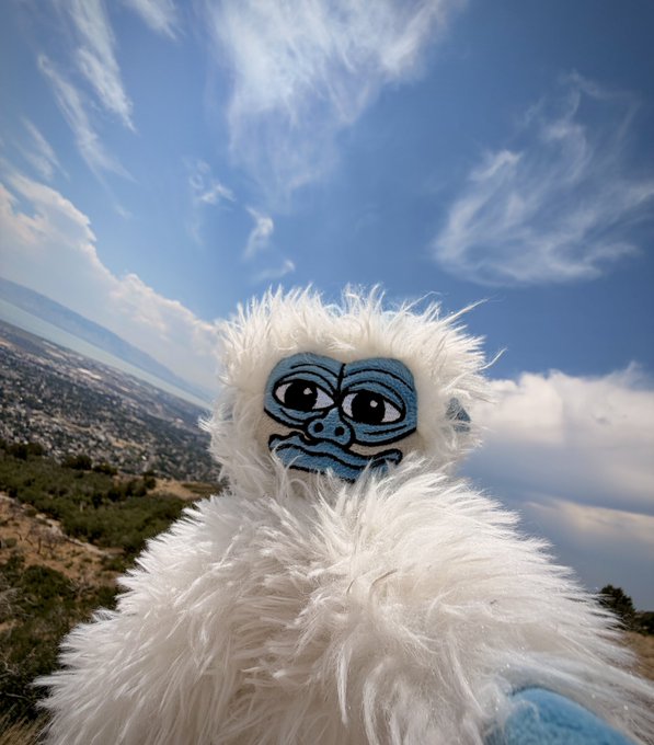 A selfie of a person dressed in a fluffy white yeti costume with a blue face mask, taken outdoors with mountains and a blue cloudy sky in the background.