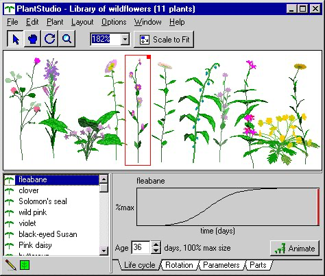A screenshot of 'PlantStudio' software showing a library of 11 wildflowers with 'fleabane' selected and its life cycle growth curve displayed.