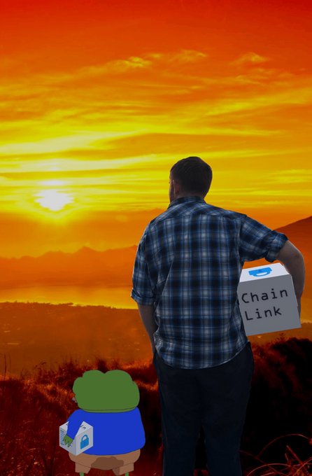 A man in a plaid shirt stands at sunset overlooking the ocean, holding a box labeled "Chain Link," accompanied by a small cartoon character.