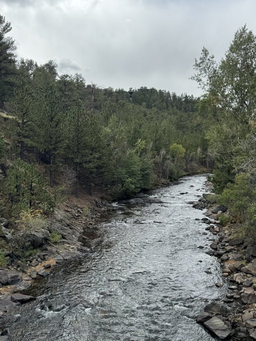 A scenic view of a rocky stream flowing through a forested valley under a cloudy sky.
