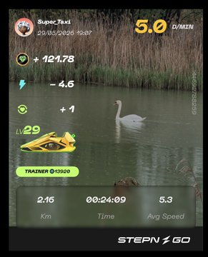 The image shows an outdoor scene of a lake with a duck swimming in it. The water appears calm, reflecting the surrounding environment. A person's photo can be seen at the bottom right corner of the screen, which seems to be related to the content displayed on the app or website.