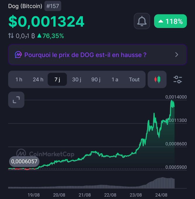 A CoinMarketCap price chart for Dog (Bitcoin) #157 showing a 76.35% increase over 7 days, with the current price at $0.001324 and a French prompt asking 'Pourquoi le prix de DOG est-il en hausse ?'