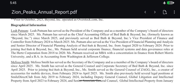 The image shows a page from the Zion Peaks Annual Report (Zion_Peaks_Annual_Report.pdf), featuring biographical information about Leah Putnam, who serves as President of the Company and Chief Accounting Officer of Bed Bath & Beyond, Inc. (formerly "Beyond, Inc."), with a notable mention that she previously held a corporate finance, financial systems and data governance role at The Hertz Corporation from 2018 to 2020. This image supports the post's claim about the Chief Accounting Officer of BBBY (now at the company issuing BABY tokens on tZero) having a corporate finance background at Hertz, which the post characterizes as a suspicious coincidence.