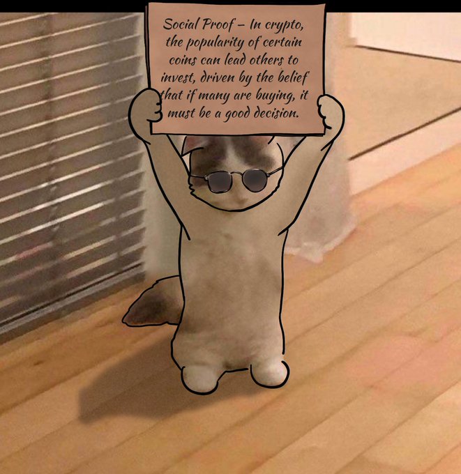 A cat wearing round sunglasses stands on a wooden floor holding up a pink sign explaining 'Social Proof' in crypto investing.
