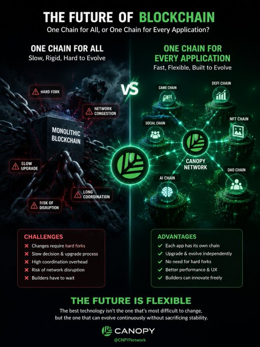 An infographic titled 'THE FUTURE OF BLOCKCHAIN' by Canopy (@CNPYNetwork) compares 'One Chain for All' (monolithic blockchain with challenges like hard forks and slow upgrades) versus 'One Chain for Every Application' (the Canopy Network with specialized chains for Game, DeFi, NFT, Social, AI, and DAO, offering advantages like independent upgrades and better performance).