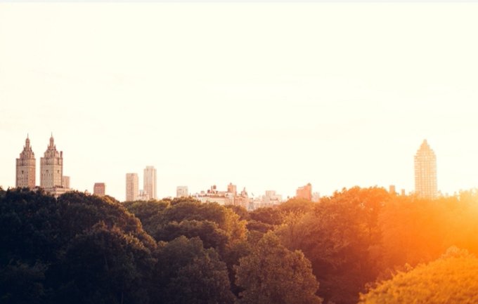 A warm, sun-flared cityscape shows a skyline of buildings rising above a lush tree canopy during golden hour.