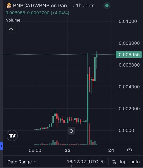 A cryptocurrency trading chart on a DEX shows the BNBCAT/WBNB pair up 4.04% at a price of 0.006955, featuring green and red candlesticks.