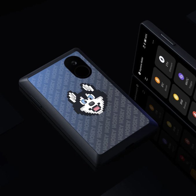 Product image showing a smartphone with a custom case featuring a pixelated husky mascot and 'HOSKY' text pattern, positioned next to a phone displaying cryptocurrency wallets including Ethereum and Binance.