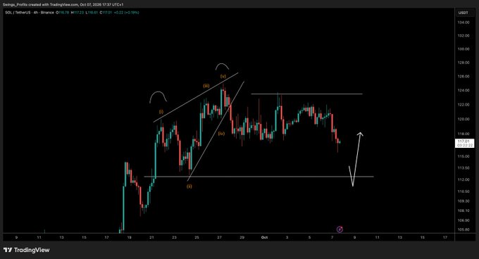 A TradingView 4-hour candlestick chart of $SOL/USD (Binance) shows price action around $117 with an Elliott Wave-style structure marked with labels (i), (ii), (iii), (iv), (v) and horizontal support/resistance zones. The analysis suggests a further downside move, aligning with the post's forecast that $SOL will not bottom here and lower prices are incoming.