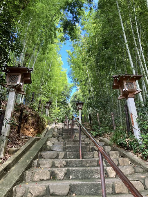 A stone staircase flanked by stone lanterns ascends through a lush bamboo forest toward a bright blue sky.