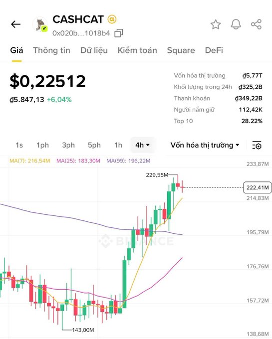 A Vietnamese Binance price page for CASHCAT (0x20b...1018b4) cryptocurrency showing price at $0.22512 (đ5,847.13) with a 6.04% increase, displaying market cap of 5.77T and a 4-hour candlestick chart showing a strong uptrend.