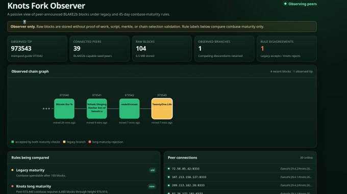 A dashboard for the "Knots Fork Observer" shows a split on the lukecoin.zndtoshi.com chain, with tip 973543 displaying two competing branches (973545 "Knots.fork is" and 973546 "TwentyOne_Lite") due to 1 rule disagreement between Legacy and Knots long maturity rules.