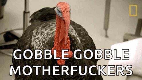 The image features a turkey with an orange beak, standing upright against a white background. The text "Gobble Gobble Motherfucker" is written above the turkey's head, which reads as if someone has taken a photo of the bird and captioned it.