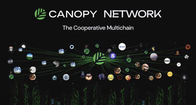 Promotional graphic for 'CANOPY NETWORK - The Cooperative Multichain' featuring a central green logo connected by lines to numerous avatar icons on a dark background.