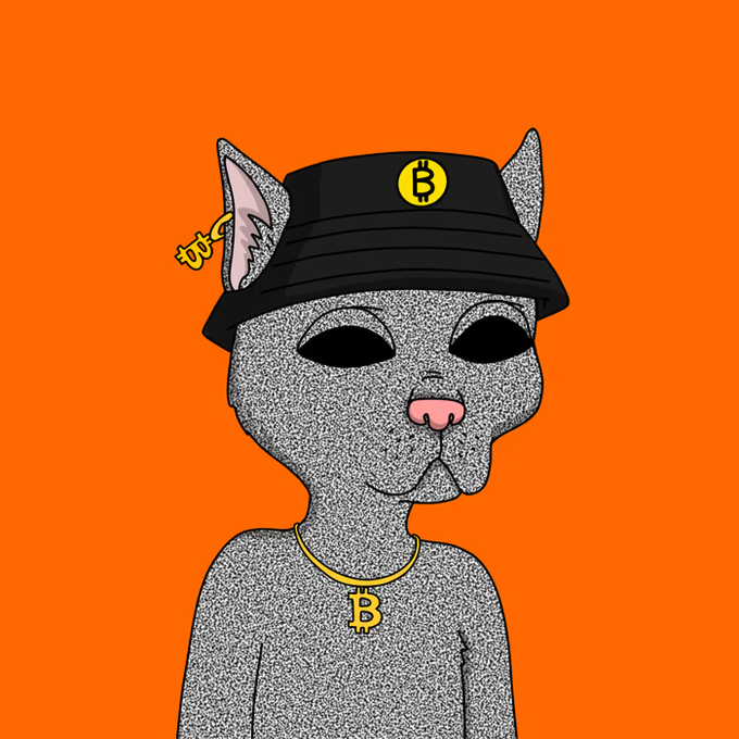 A pixelated/gray-textured cartoon cat character wearing a black bucket hat with a yellow Bitcoin logo, a gold 'B' necklace, with an orange background.