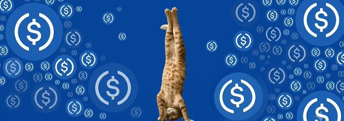 The image features a cat performing an upside-down handstand, surrounded by blue circles with dollar signs floating around it. The cat appears to be upside down while standing on its hind legs, creating a humorous and eye-catching scene that seems to be related to a social media post or advertisement.