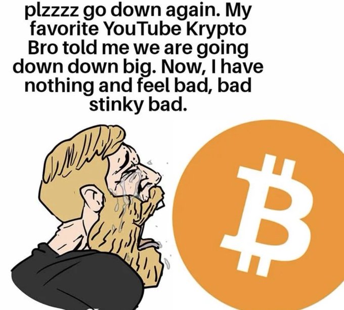 A 'Nordic Gamer' style meme featuring a crying blonde bearded man next to an orange Bitcoin logo, with text reading 'plzzzz go down again. My favorite YouTube Krypto Bro told me we are going down down big. Now, I have nothing and feel bad, bad stinky bad.'