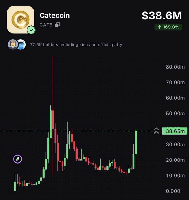 A chart of Catecoin ($CATE) showing a market cap of $38.6M, up 169.0%, with a recent price surge to 38.65M after a volatile history that included a previous spike above 80M, illustrating the memecoin's volatile rally referenced in the post about major investors injecting money into $CATE.