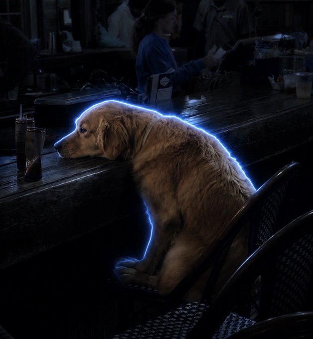 A golden retriever sitting at a dimly lit bar with a glowing blue outline around its body, with people in the background.