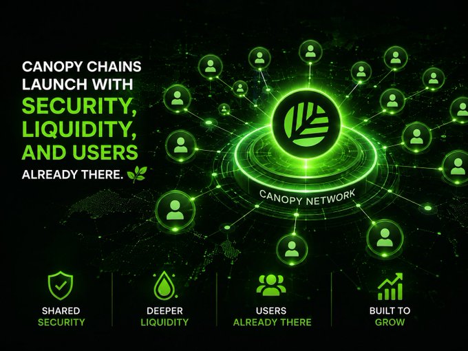 A promotional graphic for the Canopy Network announcing "CANOPY CHAINS LAUNCH WITH SECURITY, LIQUIDITY, AND USERS ALREADY THERE," featuring a glowing green central node with user icons connected around it, and four feature highlights: Shared Security, Deeper Liquidity, Users Already There, and Built to Grow.