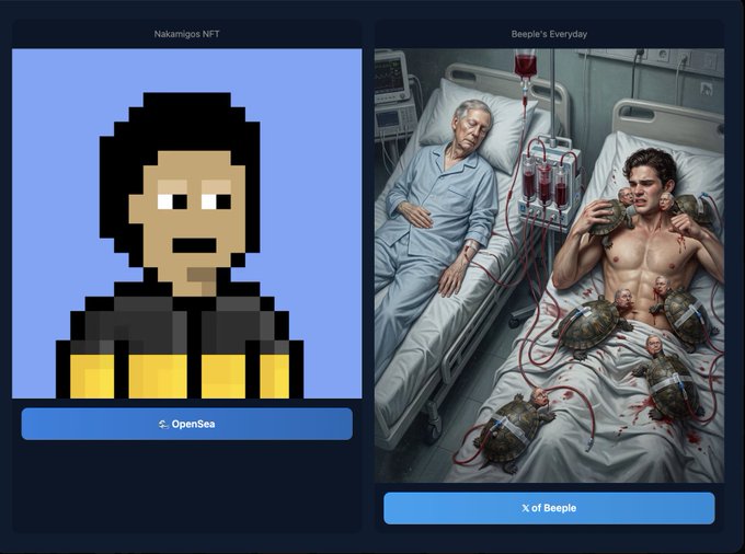 Two NFT cards are displayed: 'Nakamigos NFT' showing a pixelated character on the left, and 'Beeple's Everyday' depicting a surreal scene of a young man in a hospital bed hooked to machines with turtles on him, alongside an elderly patient.