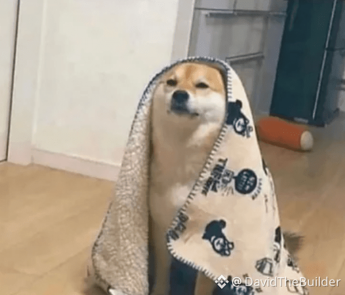 A Shiba Inu dog standing wrapped in a patterned blanket, looking smugly at the camera, credited to '@DavidTheBuilder' in the corner.