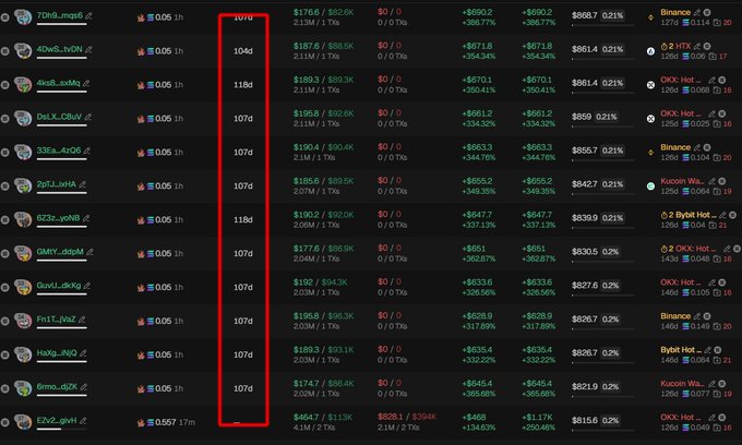 The image displays a crypto trading tracker highlighting approximately 1076-118d holding positions for various tokens (4Dw5, 4hs8, DsLX_CBkW, etc.) with significant gains ranging from +$78.41% to +$909.02%, shown by users like "7Ddh_mg46" and "QMcY_u89M." The accompanying post warns about $PEPECOON being a bundled scam, suggesting caution as the image shows multiple traders profiting from similarly structured meme coin trades during a "scam season" weekend.