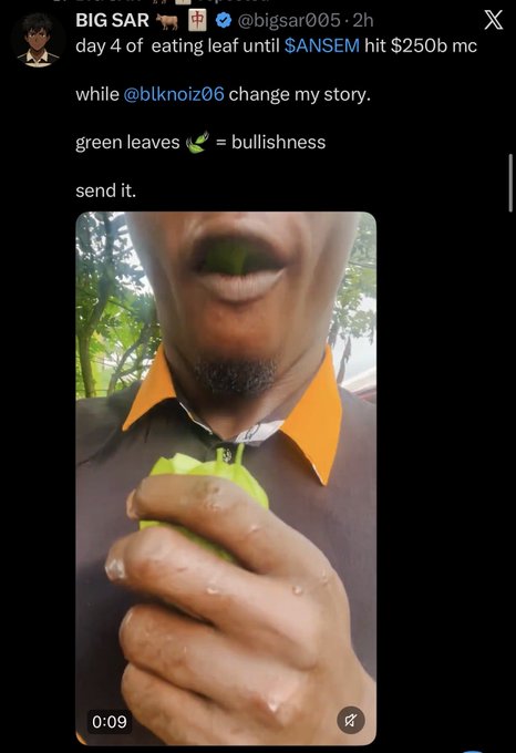 A screenshot of a tweet from @bigsar005 showing a man with a green leaf in his mouth, with text declaring "day 4 of eating leaf until SANSEM hit $250b mc" and "green leaves = bullishness." The image illustrates the viral stunt referenced in the post, where someone commits to eating a leaf daily as a bullish signal until the SANSEM token reaches $250 billion market cap, currently sitting at $166M.